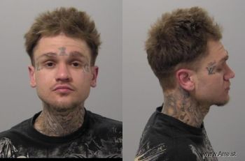 Thomas Michael Hullinger Mugshot