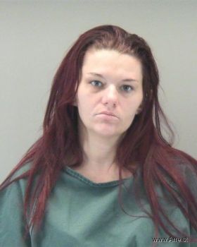 Tiffany Ann Phillips Mugshot