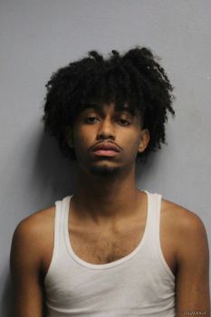 Timothy Taiyu Wallace Mugshot