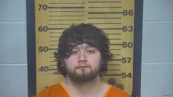 Timothy  Wisemaniii Mugshot