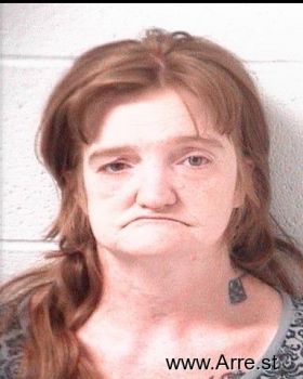 Tina Marie Butler Mugshot