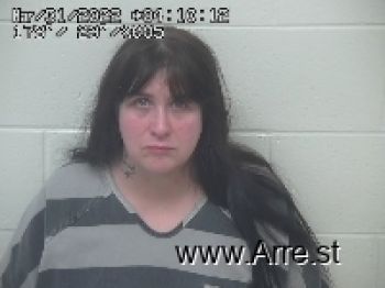 Tina M Gillespie Mugshot