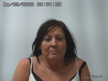 Tina  Owens Mugshot