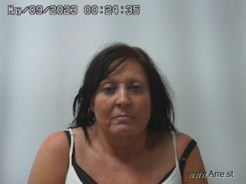 Tina Marie Owens Mugshot