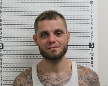 Tony Lee Wilson Jr Mugshot