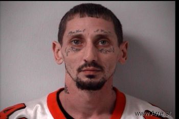 Tony Michael Woods Mugshot