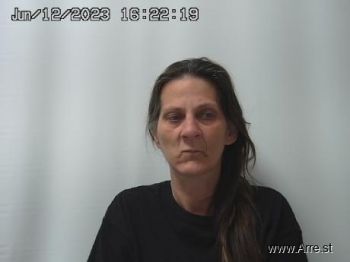 Tonya Marie Boltz Mugshot