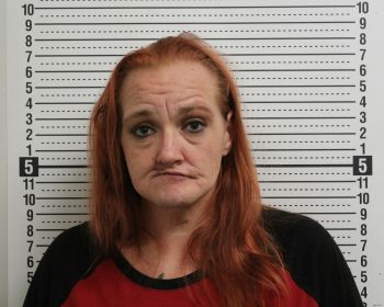 Tonya M Davis Mugshot