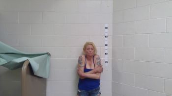 Tonya N Johnson Mugshot