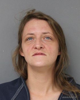 Tracy Lynn Tolliver Mugshot