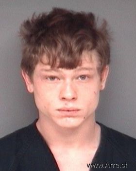 Travis Roy Swaink Mugshot