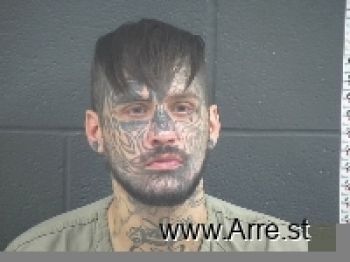 Travis Edwin Ray Wise Mugshot