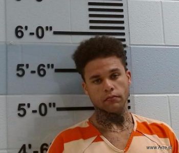 Treyvon A Nelson Mugshot