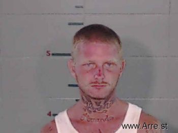 Troy  Mcdaniel   Jr. Mugshot