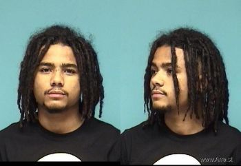 Tyler J Brown Mugshot