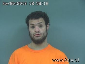 Tyler Austin Grisham Mugshot