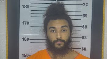 Tyler  Williamson Mugshot