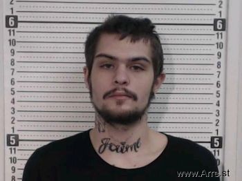 Tyler A Wiseman Mugshot