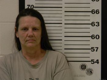 Vickie  Saylor Mugshot