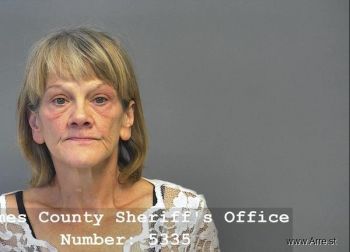 Valerie Ann Zwayer Mugshot