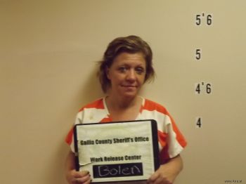 Vanessa  Bolen Mugshot