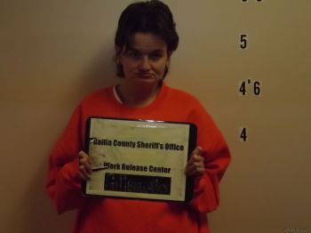 Vickie  Gillenwater Mugshot