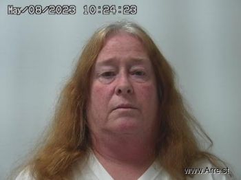 Virginia Lynn Curtis Mugshot