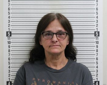 Virginia E Stotridge Mugshot