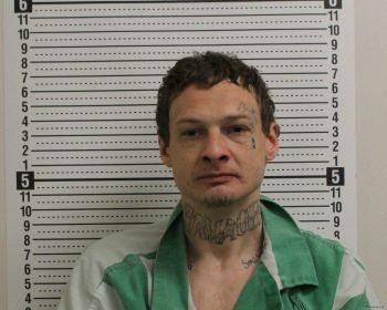 Walter Louis Davis Jr Mugshot