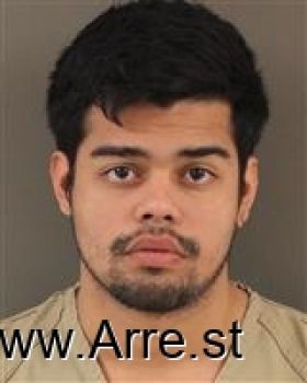 Walter Benaur Reyes-mancada Mugshot