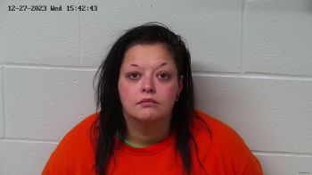 Whitney Ann Downing Mugshot