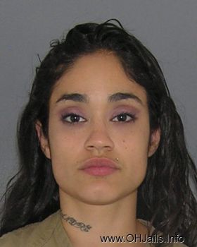 Alexis  Figueroa Mugshot