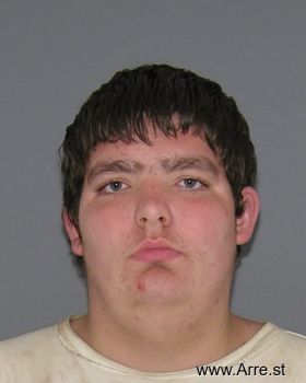 Brandon  Lewis Mugshot