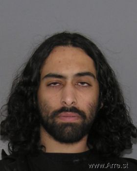 Devin Ravi  Berry Mugshot