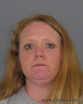 Lisa  Landrum Mugshot