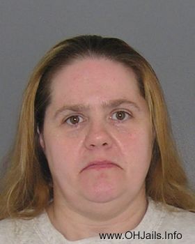 Teresa Ann  Linville Mugshot