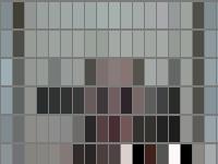 Kayla A Cheetham Mugshot