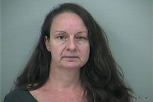 Ann Severson Arrest