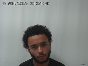 Alana Walker Arrest Mugshot