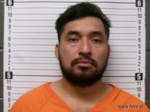 Alejandro Mayo Arrest Mugshot