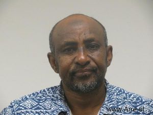 Ali Hirse Arrest Mugshot