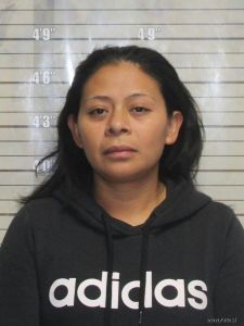 Alicia Mendoza Arrest Mugshot