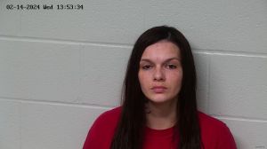 Allison Trader Arrest Mugshot