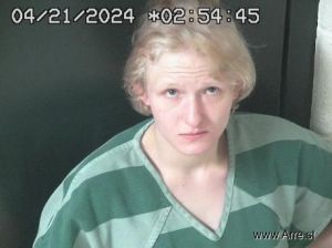 Alyssa Lanham Arrest