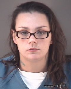 Amanda Briner Arrest Mugshot