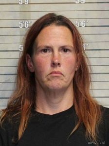 Amanda Terry Arrest Mugshot