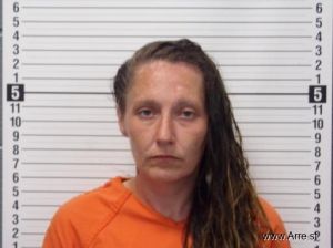 Amanda Waller Arrest Mugshot
