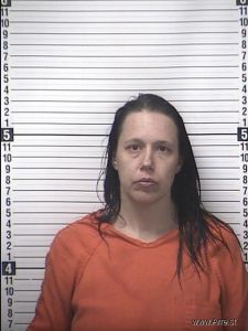 Amy Houston Arrest Mugshot