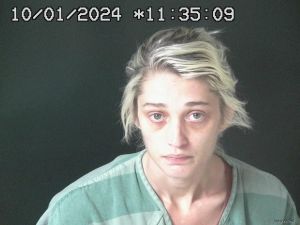 Amy Simes Arrest Mugshot