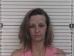 Amy Tisdale Arrest Mugshot